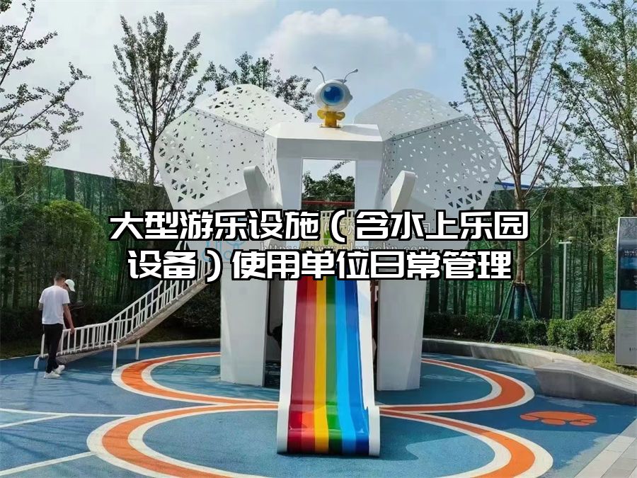 大型游樂設(shè)施（含水上樂園設(shè)備）使用單位日常管理