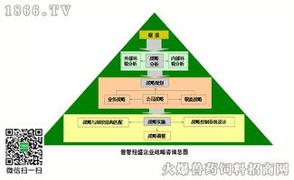 右腦思維 戰(zhàn)略咨詢(xún)中的創(chuàng)新引擎與競(jìng)爭(zhēng)優(yōu)勢(shì)